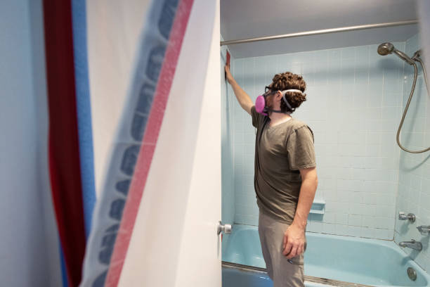 Biohazard Mold Removal in Flat Rock, NC