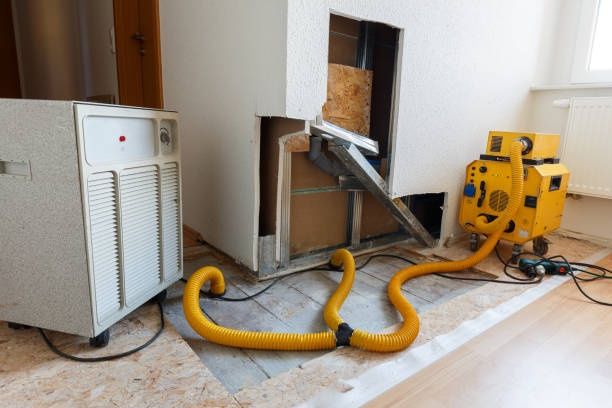 Best Residential Mold Inspection & Testing  in Flat Rock, NC